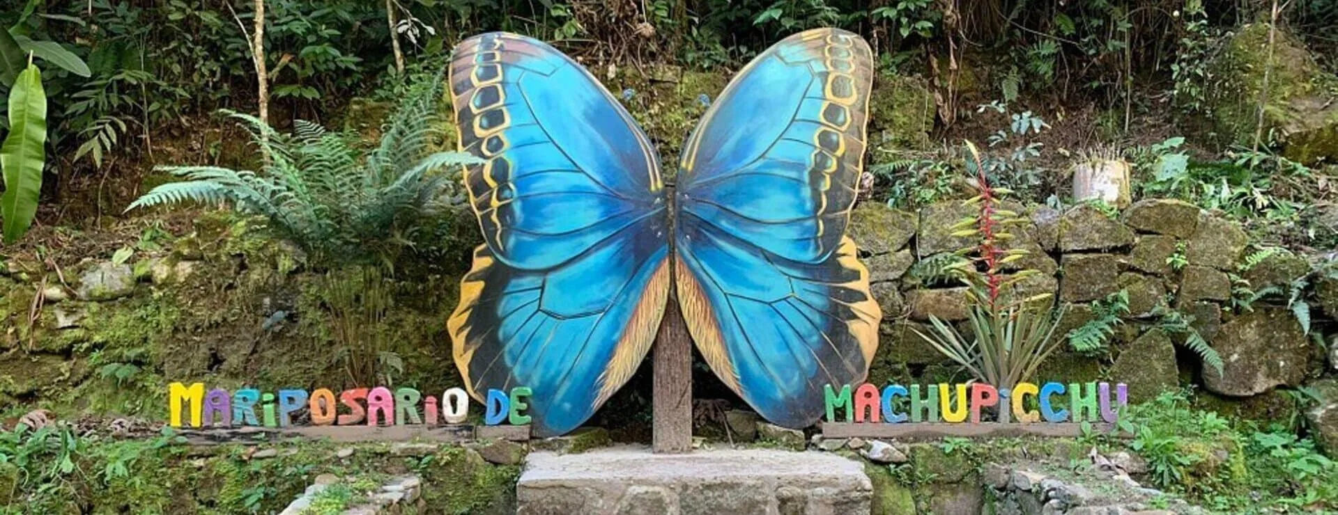 Slider image for Machu Picchu Butterfly Sanctuary